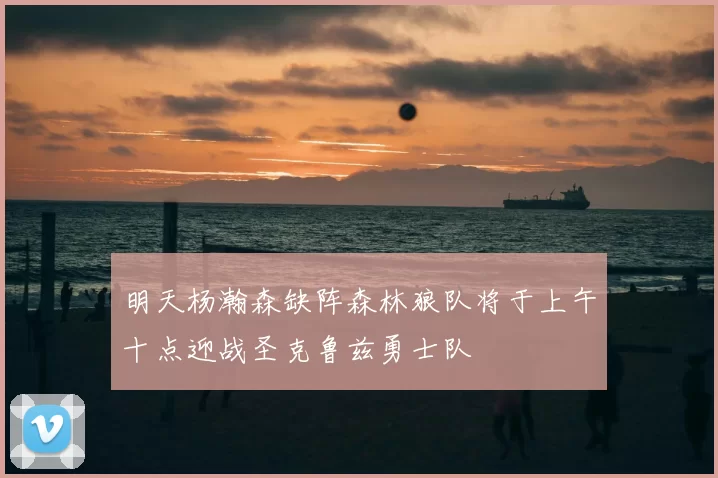 明天杨瀚森缺阵森林狼队将于上午十点迎战圣克鲁兹勇士队