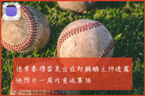 德章泰穆雷复出在即鹈鹕主帅透露他预计一周内重返赛场