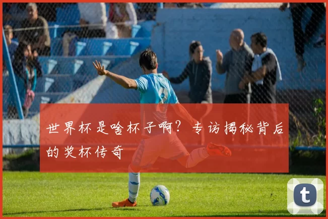世界杯是啥杯子啊?专访揭秘背后的奖杯传奇