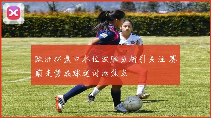 欧洲杯盘口水位波胆分析引关注 赛前走势成球迷讨论焦点