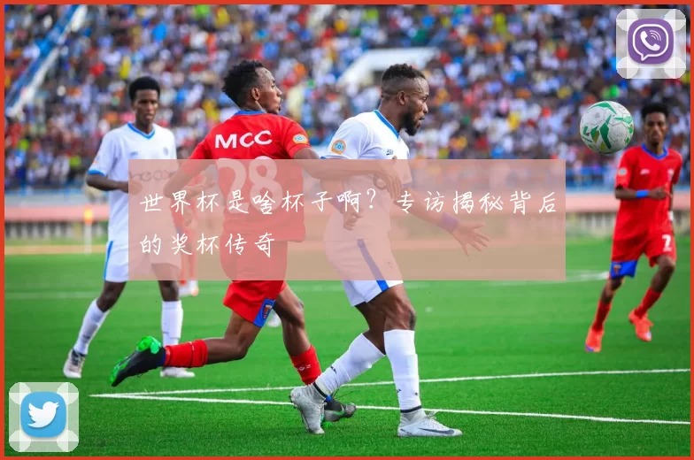 世界杯是啥杯子啊?专访揭秘背后的奖杯传奇