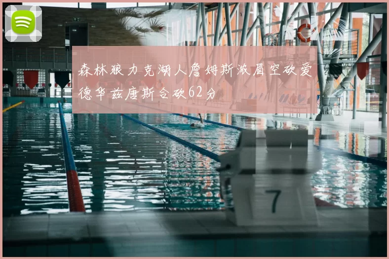 森林狼力克湖人詹姆斯浓眉空砍爱德华兹唐斯合砍62分