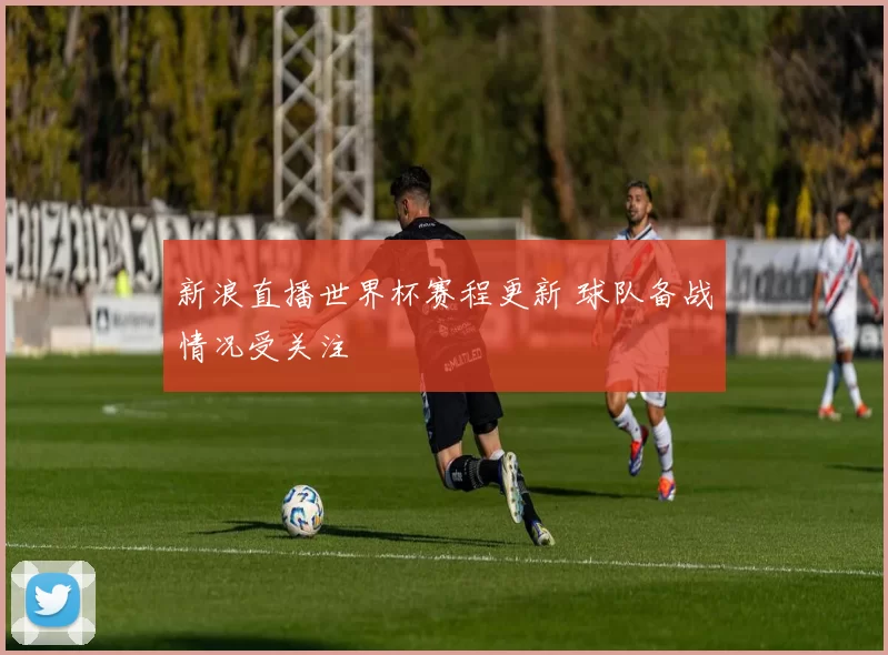 新浪直播世界杯赛程更新 球队备战情况受关注