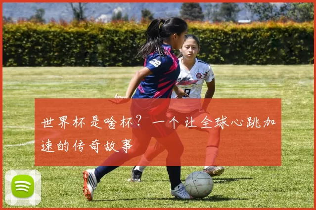 世界杯是啥杯?一个让全球心跳加速的传奇故事