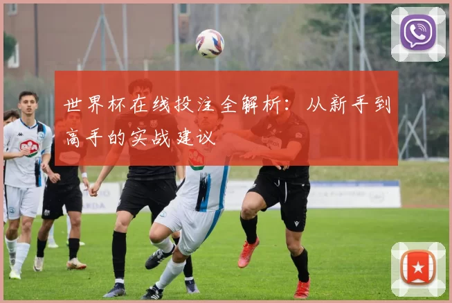 世界杯在线投注全解析:从新手到高手的实战建议