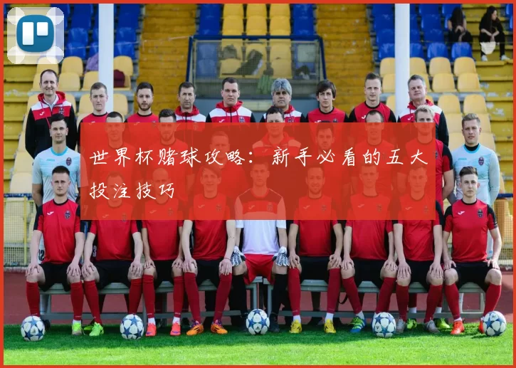 世界杯赌球攻略:新手必看的五大投注技巧