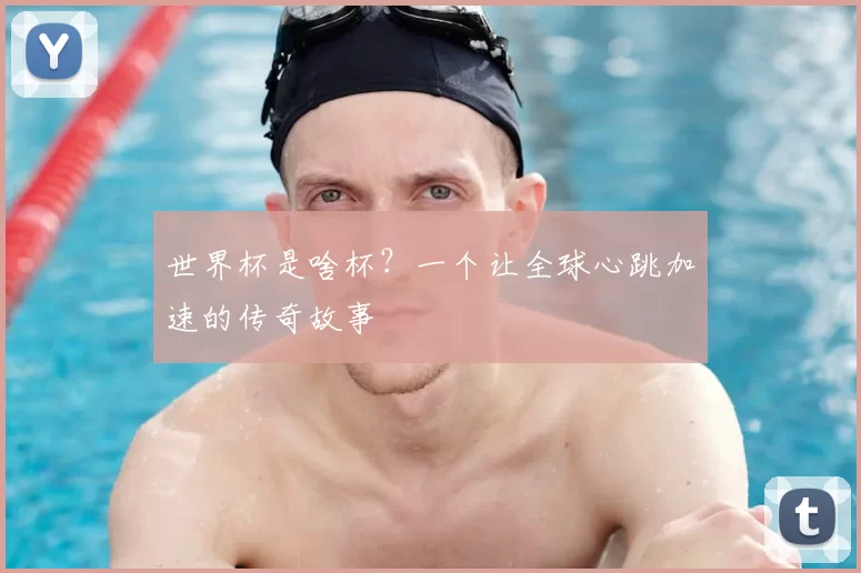世界杯是啥杯?一个让全球心跳加速的传奇故事
