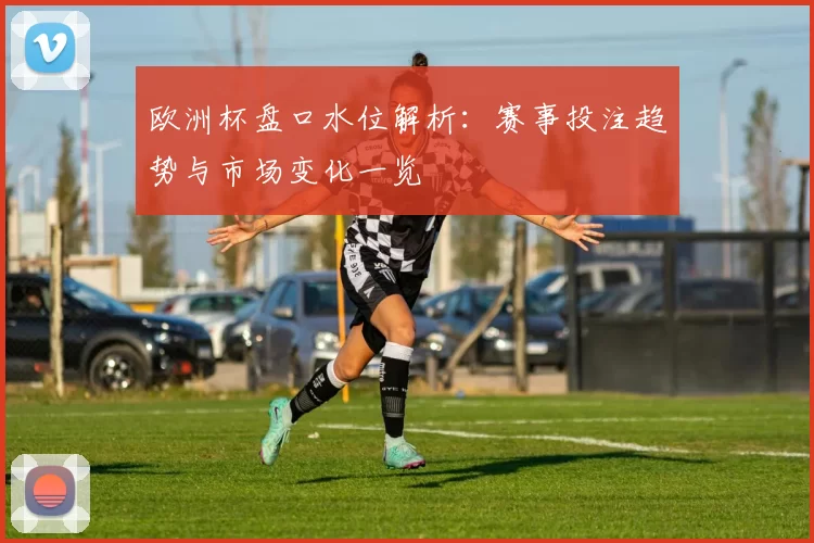 欧洲杯盘口水位解析:赛事投注趋势与市场变化一览